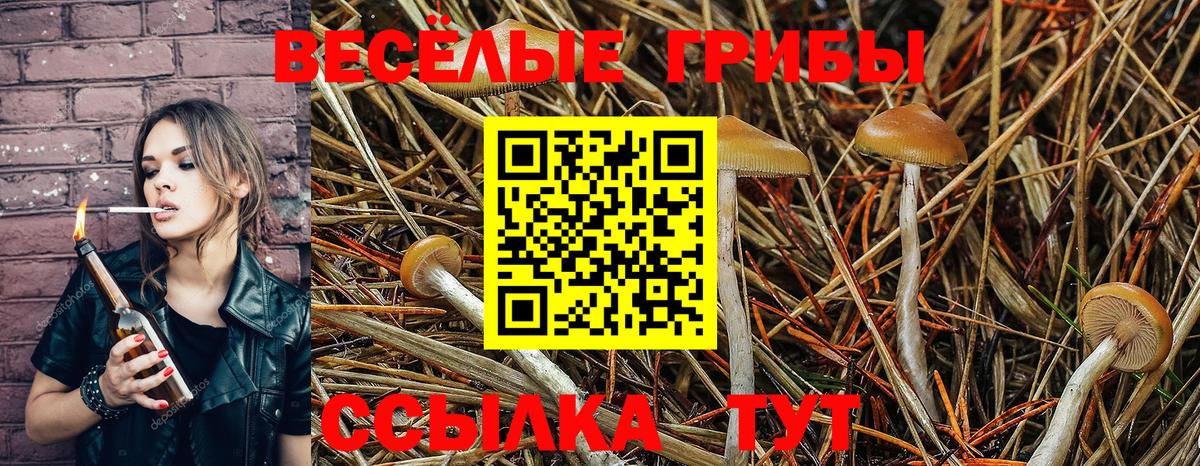 Псилоцибиновые грибы MAGIC MUSHROOMS Балтийск