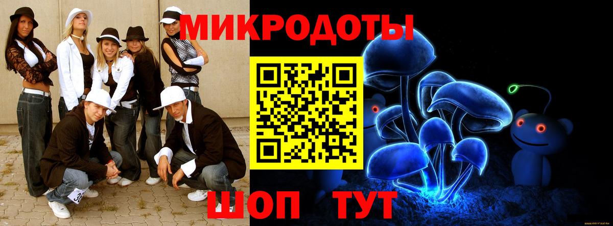 Балтийск  Галлюциногенные грибы Cubensis  Вход с VPN 